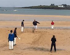 Image result for Beach Van Cricket