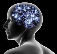 Image result for Human Brain Neural Network