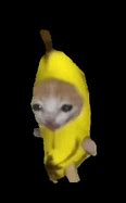 Image result for Banana Cat Cry Meme