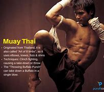 Image result for Types of Martial Arts Styles