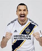 Image result for Ibrahimovic Solaria