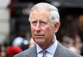 Image result for Prince of UK