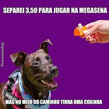 Image result for Memes Brasileiros