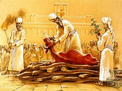 Image result for Cow Sacrifice