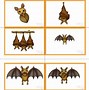 Image result for Fruit Bat Life Cycle