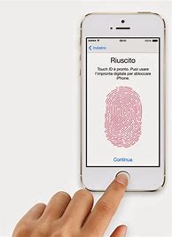 Image result for Touch IC iPhone 5S