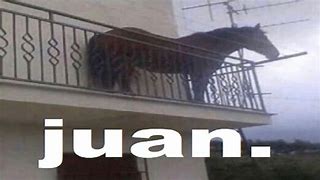 Image result for Juan Horse Balcony Meme