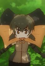 Image result for Friends Armadillo