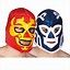 Image result for Mexican Wrestler Costume