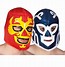 Image result for Mexican Wrestler Mask