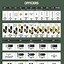 Image result for Army ROTC Ribbons