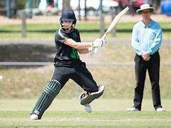 Image result for Ball Box Protective Gear Cricket