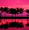 Image result for Pink Beach Theme Background