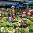 Image result for Local Food Market