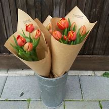 Image result for Tulips Pastel in Brown Paper