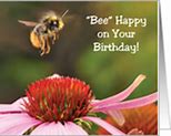 Image result for Birthday Bee Design