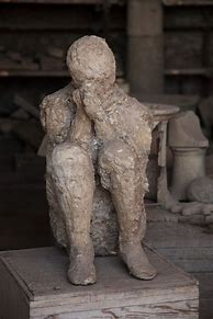 Image result for Pompeii Bodies Book