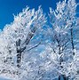 Image result for Free Seasonal Screensavers