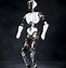 Image result for Autonomous Humanoid Robots