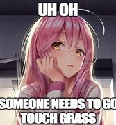 Image result for Touch Grass Anime Meme