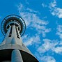Image result for Kelly Tarlton's Auckland