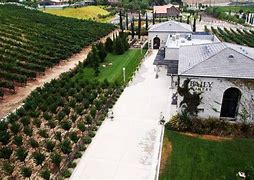 Image result for Donatello Winery Temecula