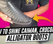Image result for Crocodile vs Alligator Boots