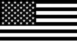 Image result for Michigan Great Lakes Black and White American Flag Decal