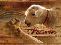 Image result for Passover Lamb Messianic