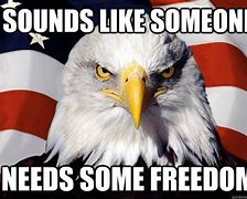 Image result for Sarcastic Meme On Freedom