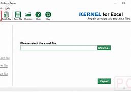 Image result for Kernel for Excel Repair
