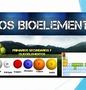 Image result for bioelemento