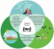 Image result for Pictures of Controlling Epidemic Diseases