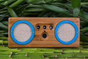 Image result for Bamboo Speaker