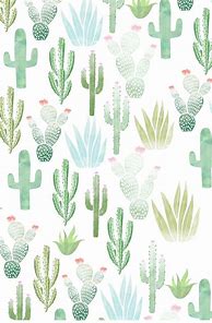 Image result for Aesthetic Cactus Wallpaper for Laptop
