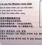 Image result for Japanese Bidet Toilet