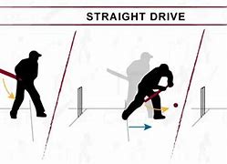 Image result for Types of Out in Cricket