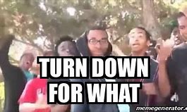 Image result for Turn Down for What Low