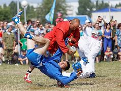 Image result for Sambo Martial Art