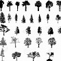 Image result for Little Pine Tree Vector