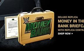 Image result for WWEShop Deluxe Case