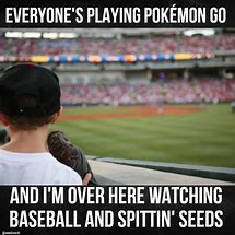 Image result for Baseball Fan Meme