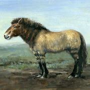 Image result for Pleistocene Horse