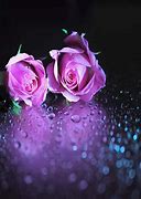 Image result for Beautiful Wallpapers Designs iPhone