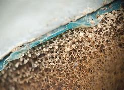 Image result for Sponge Texture Walls