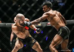 Image result for Indian UFC Fighter