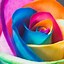 Image result for Rainbow Flowers