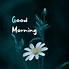 Image result for Good Morning Busy Phones