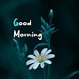 Image result for Good Morning Crazy People