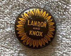 Image result for No Knox Pin Back Button